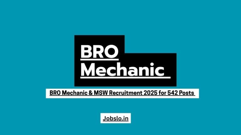 BRO Mechanic & MSW Recruitment 2025 for 542 Posts Apply Offline.