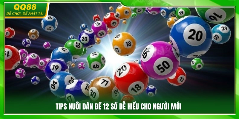 Dàn Đề 12 Số Là Gì? Hướng Dẫn Nuôi Đề Dễ Hiểu Tại QQ88 4 Mẹo nuôi dàn cho người mới nuôi dàn đề 12 số